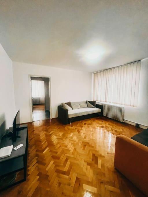 Ultracentral Big Flat Near The Opera Square P17 Temeşvar Dış mekan fotoğraf