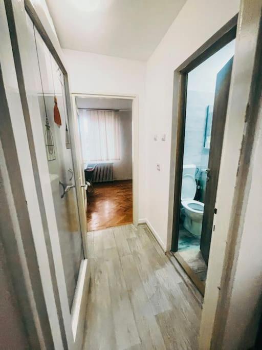 Ultracentral Big Flat Near The Opera Square P17 Temeşvar Dış mekan fotoğraf