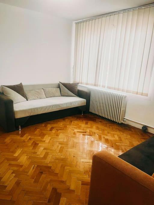 Ultracentral Big Flat Near The Opera Square P17 Temeşvar Dış mekan fotoğraf