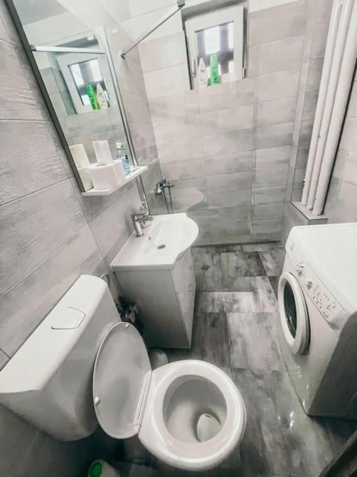 Ultracentral Big Flat Near The Opera Square P17 Temeşvar Dış mekan fotoğraf