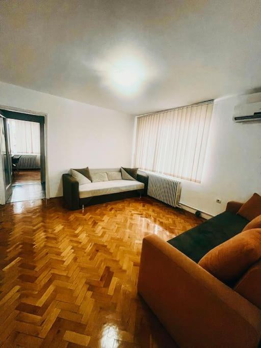 Ultracentral Big Flat Near The Opera Square P17 Temeşvar Dış mekan fotoğraf