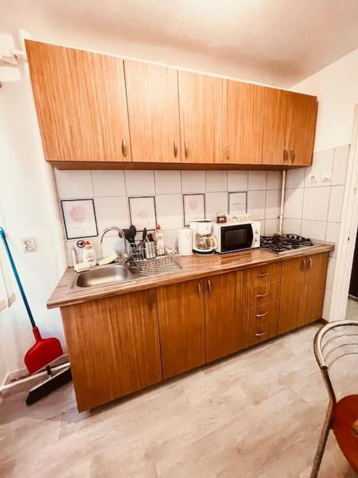 Ultracentral Big Flat Near The Opera Square P17 Temeşvar Dış mekan fotoğraf